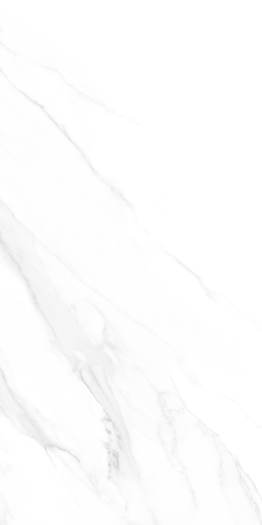 کلکته سیلور