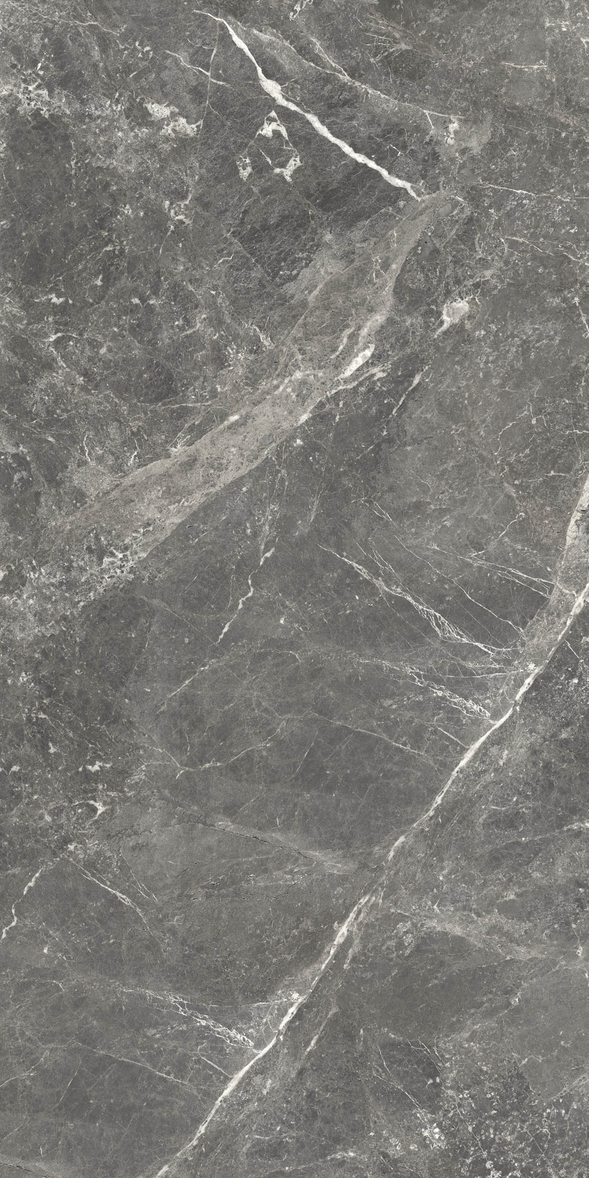 کرنلین طوسی تیره